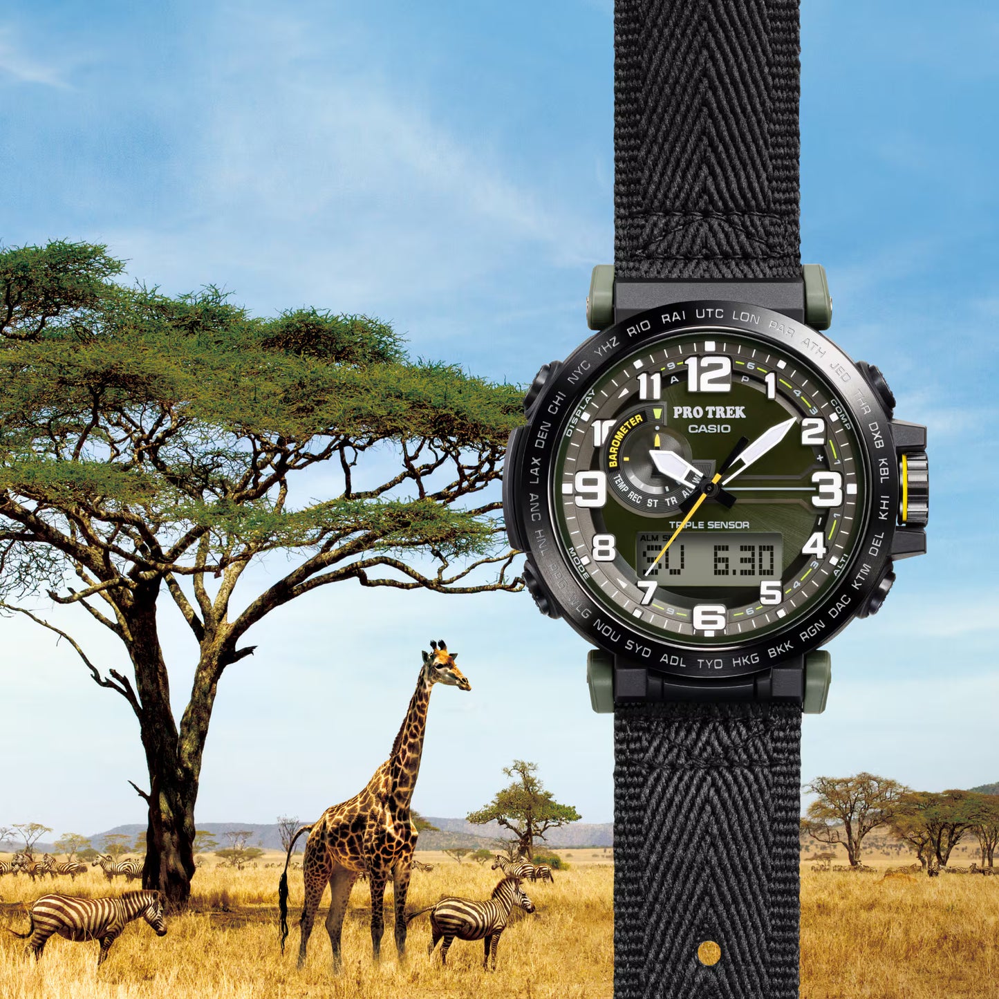 Casio Pro Trek Tough Solar Black Green Men's Quartz Watch - PRG601YB